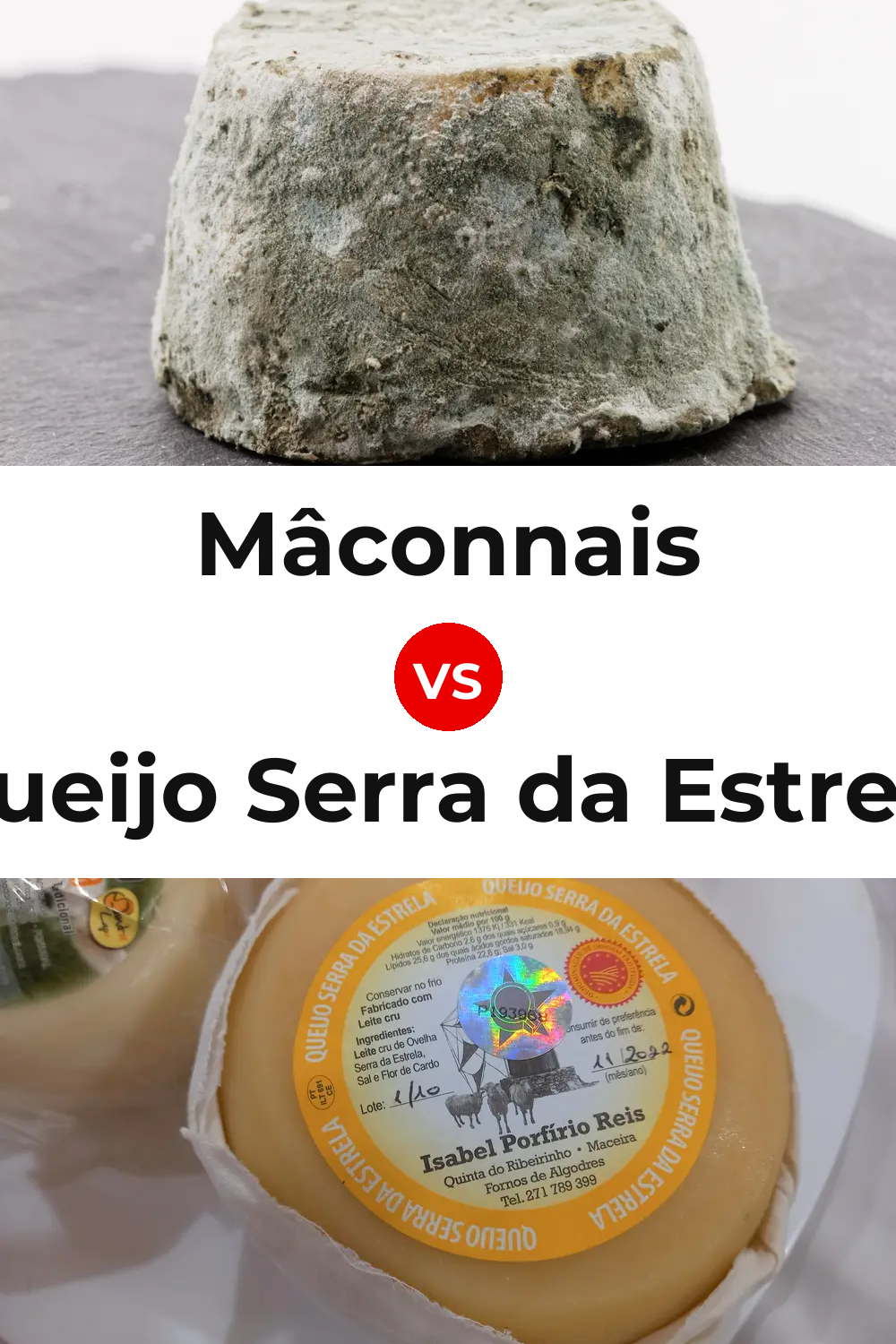 Mâconnais Cheese vs Queijo Serra da Estrela Pinterest comparison
