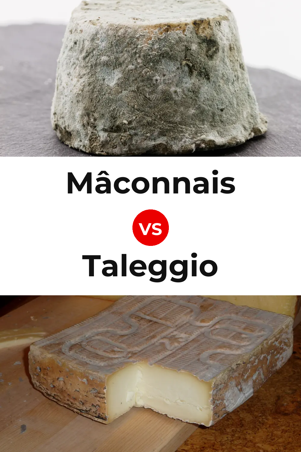 Mâconnais Cheese vs Taleggio Cheese Pinterest comparison