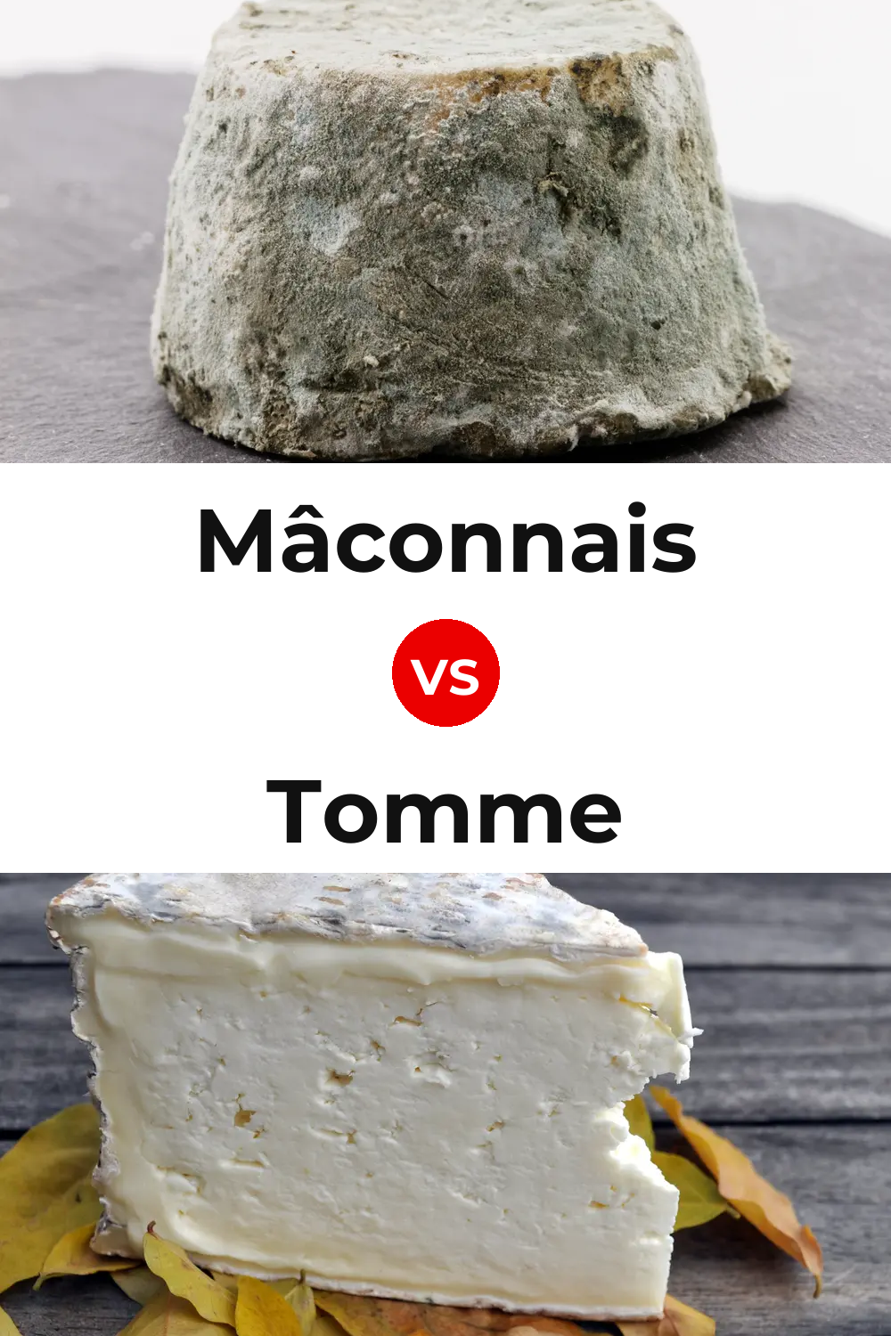 Mâconnais Cheese vs Tomme Cheese Pinterest comparison