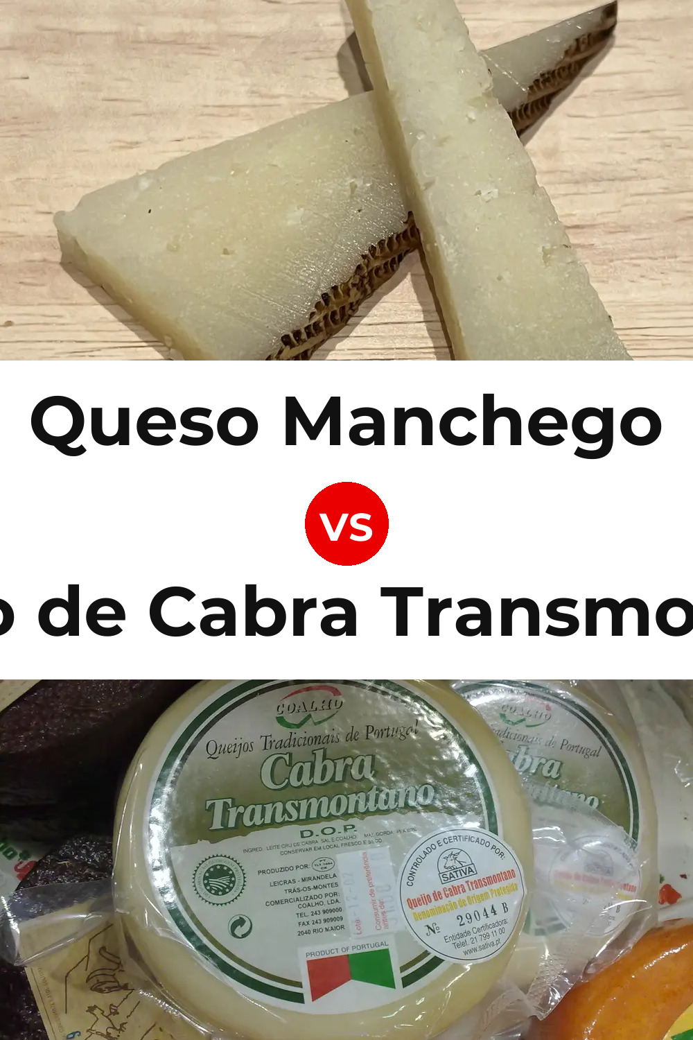 Queso Manchego vs Queijo de Cabra Transmontano Pinterest comparison
