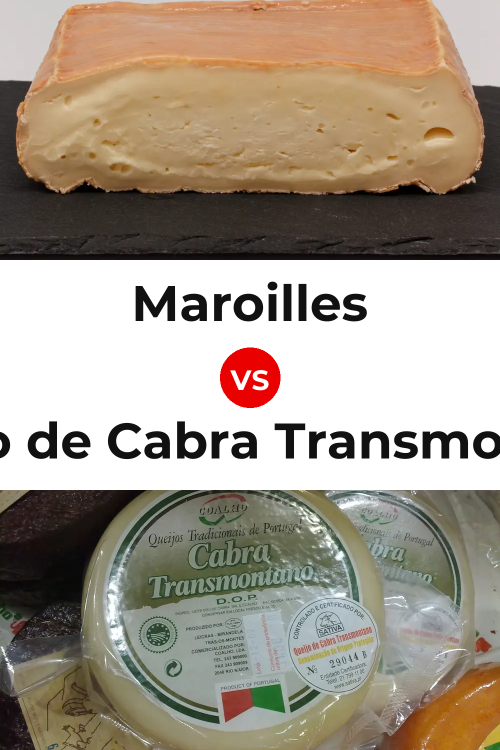 Maroilles Cheese vs Queijo de Cabra Transmontano Pinterest comparison