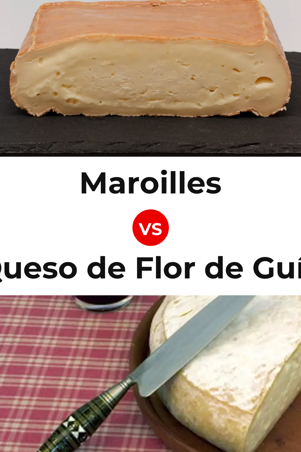 Maroilles Cheese vs Queso de Flor de Guía Pinterest comparison