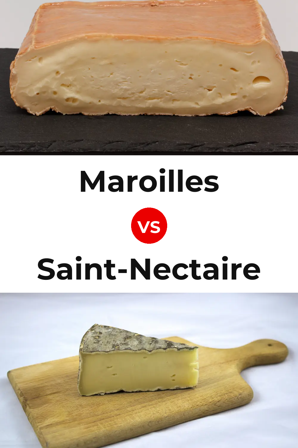 Maroilles Cheese vs Saint-Nectaire Cheese Pinterest comparison