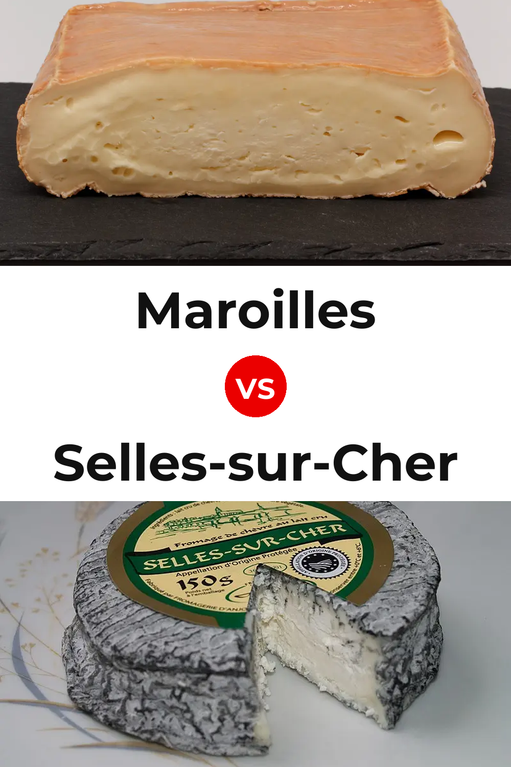 Maroilles Cheese vs Selles-sur-Cher Cheese Pinterest comparison