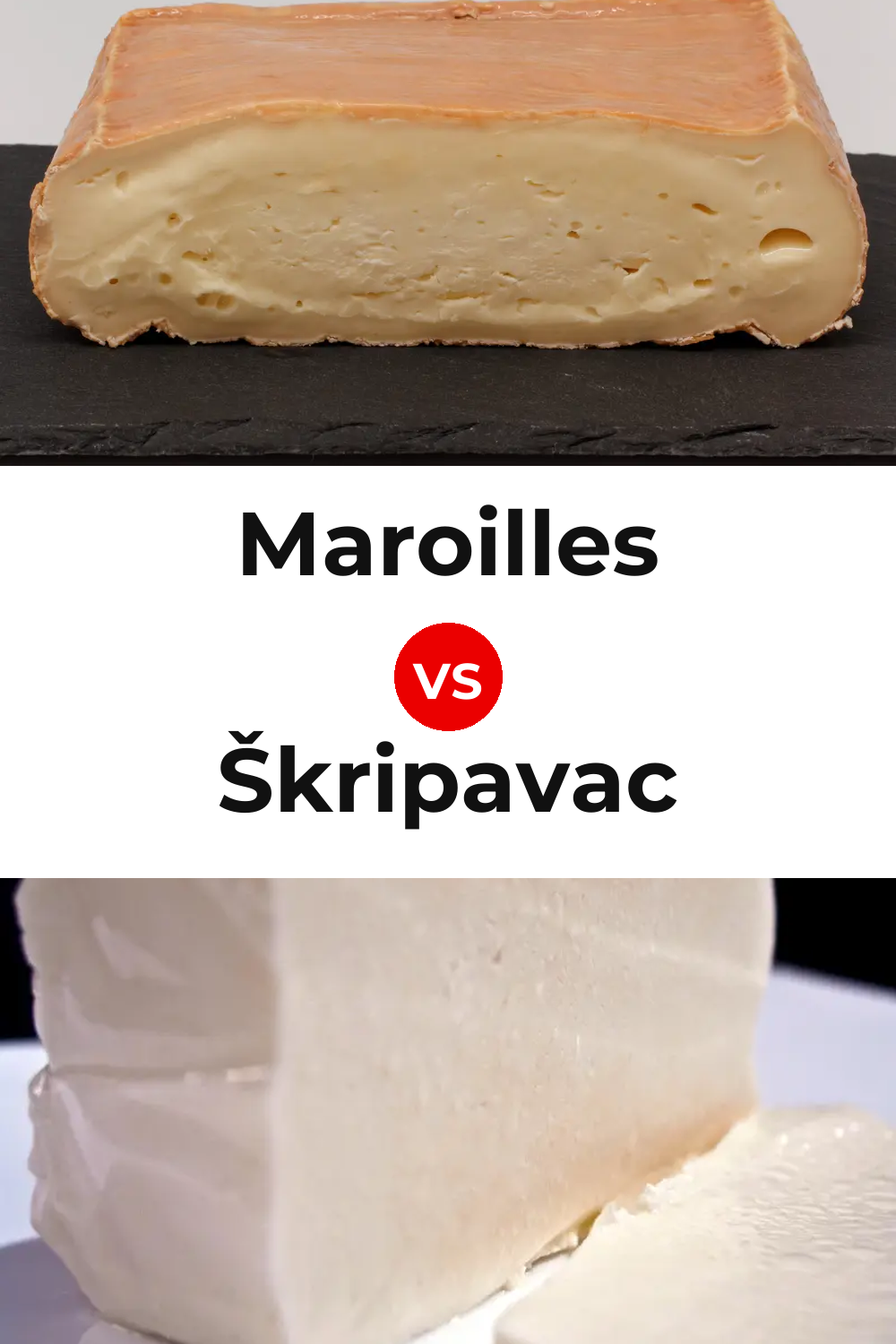 Maroilles Cheese vs Škripavac Cheese Pinterest comparison