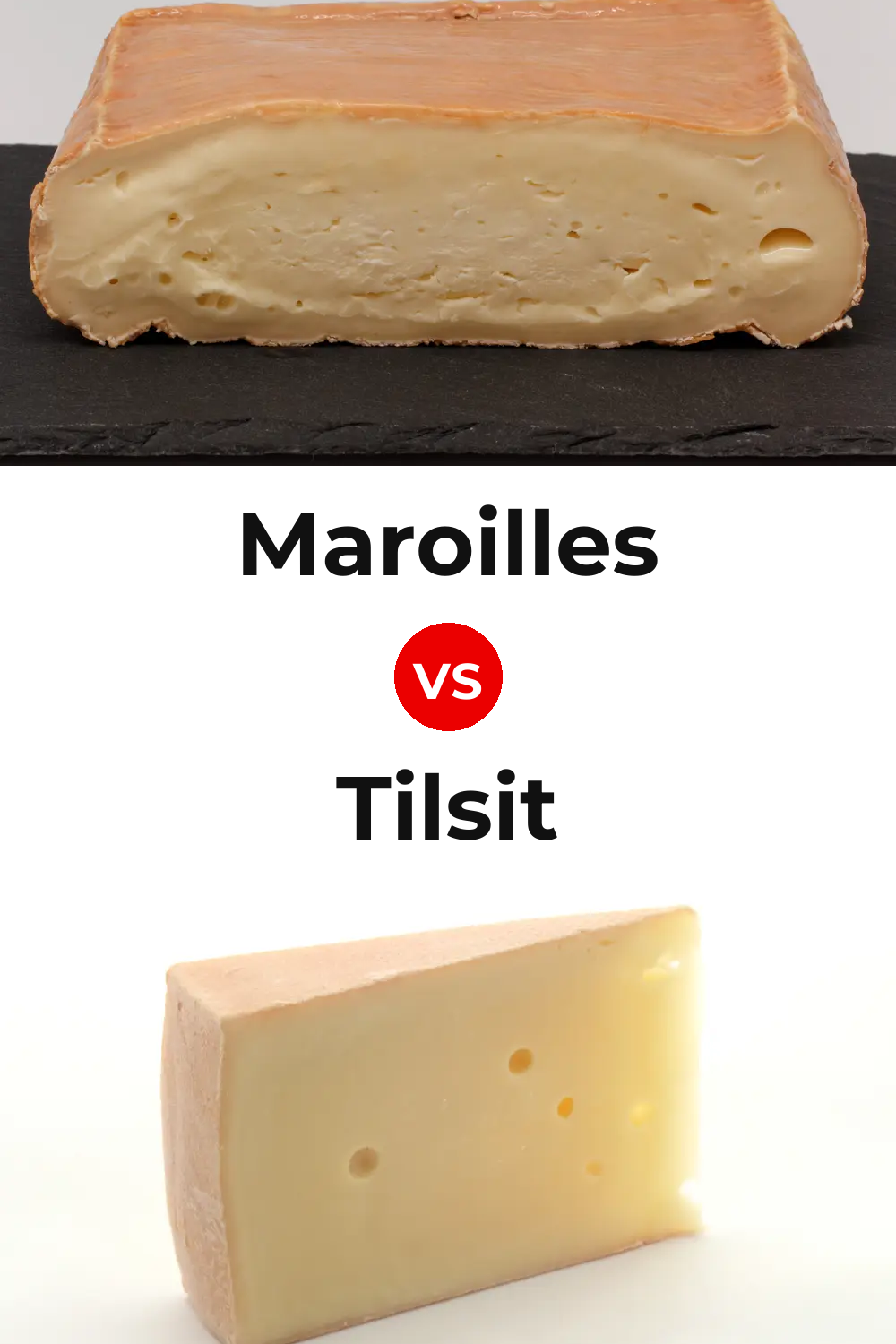 Maroilles Cheese vs Tilsit Cheese Pinterest comparison