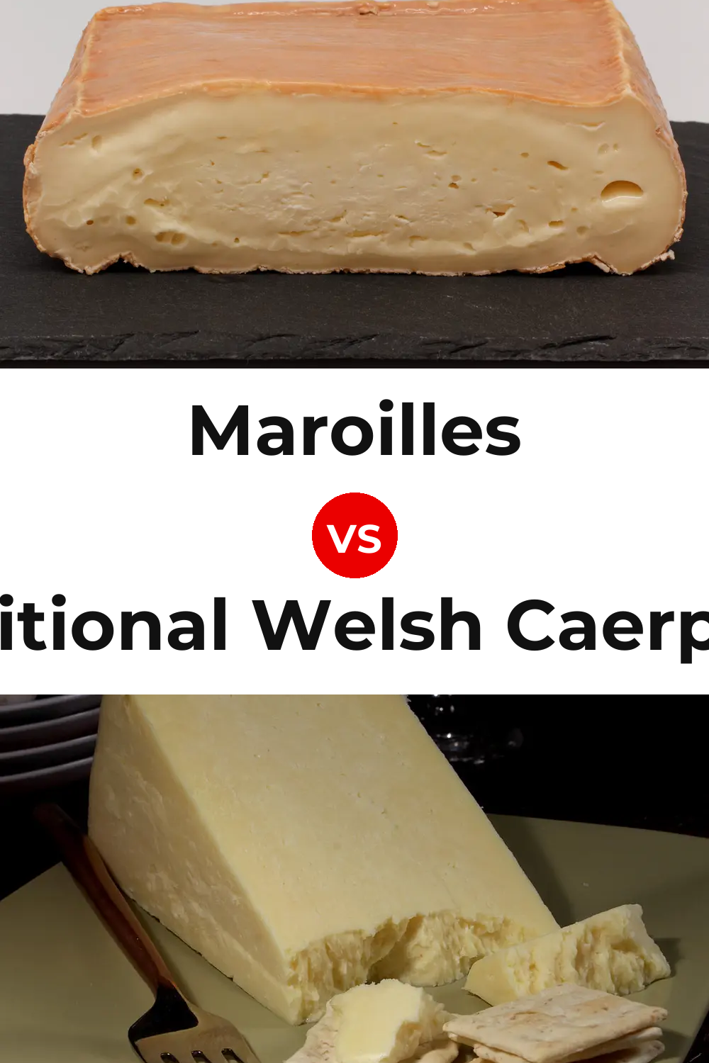 Maroilles Cheese vs Traditional Welsh Caerphilly Cheese Pinterest comparison