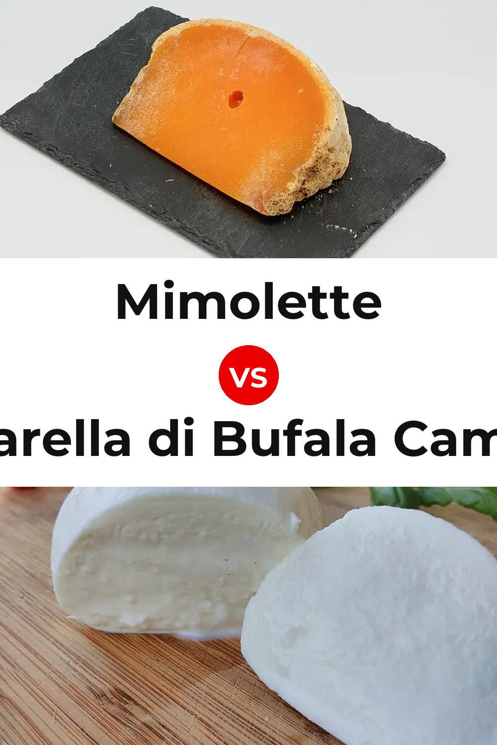 Mimolette Cheese vs Mozzarella di Bufala Campana Cheese Pinterest comparison