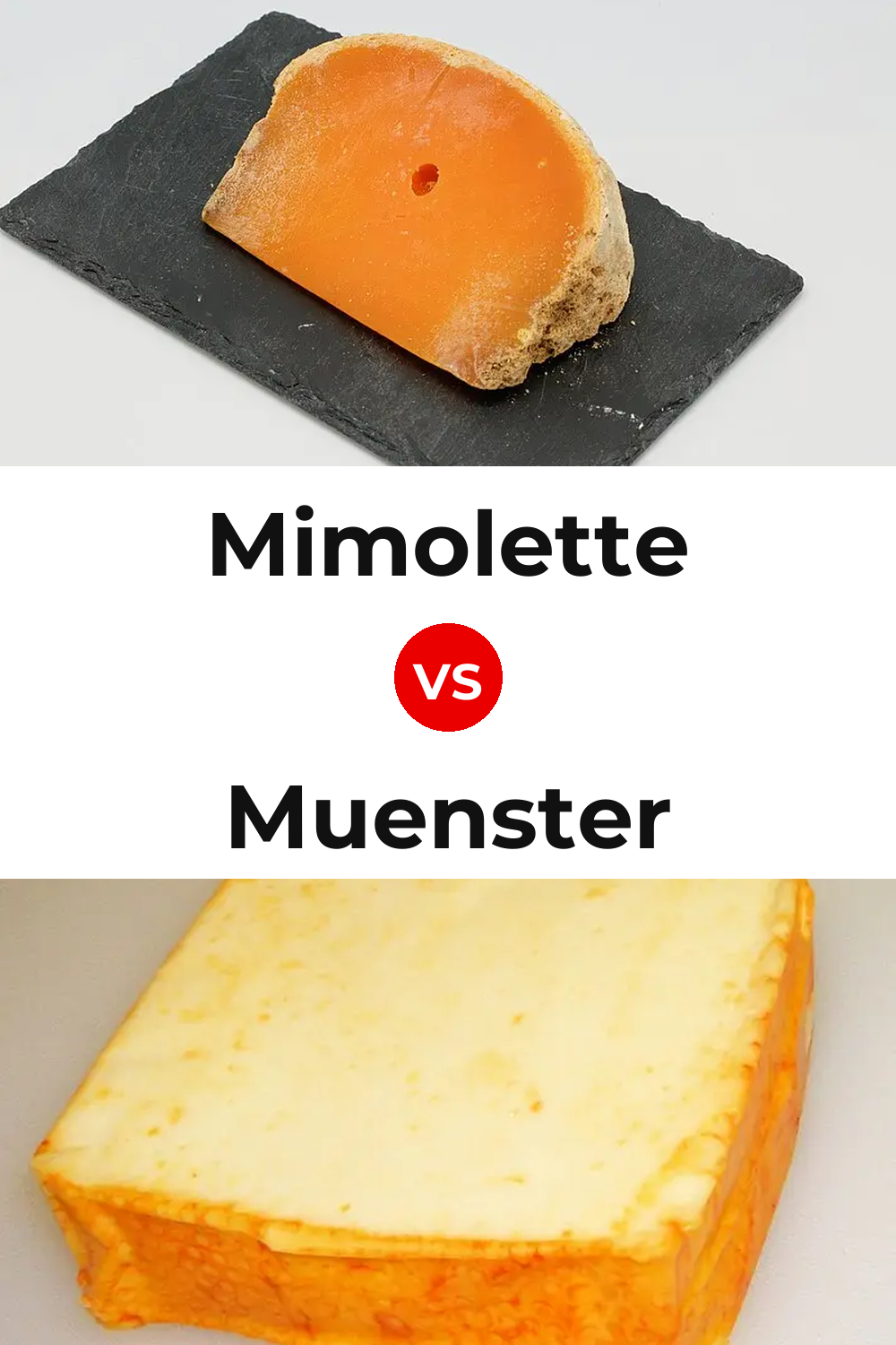 Mimolette Cheese vs Muenster Cheese Pinterest comparison