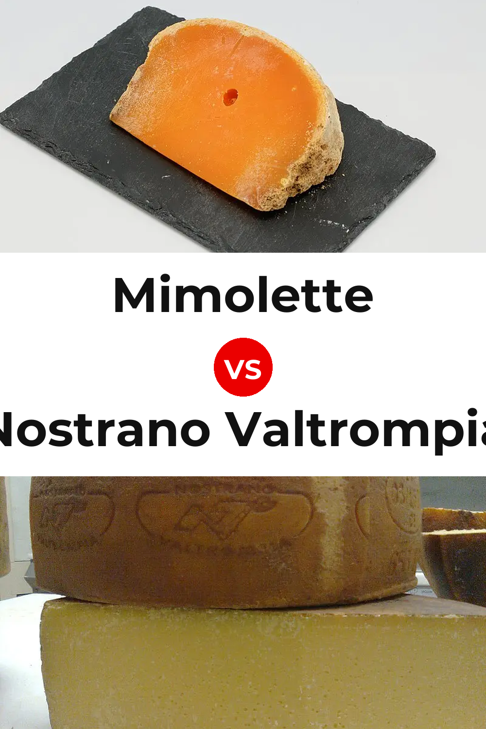 Mimolette Cheese vs Nostrano Valtrompia Cheese Pinterest comparison