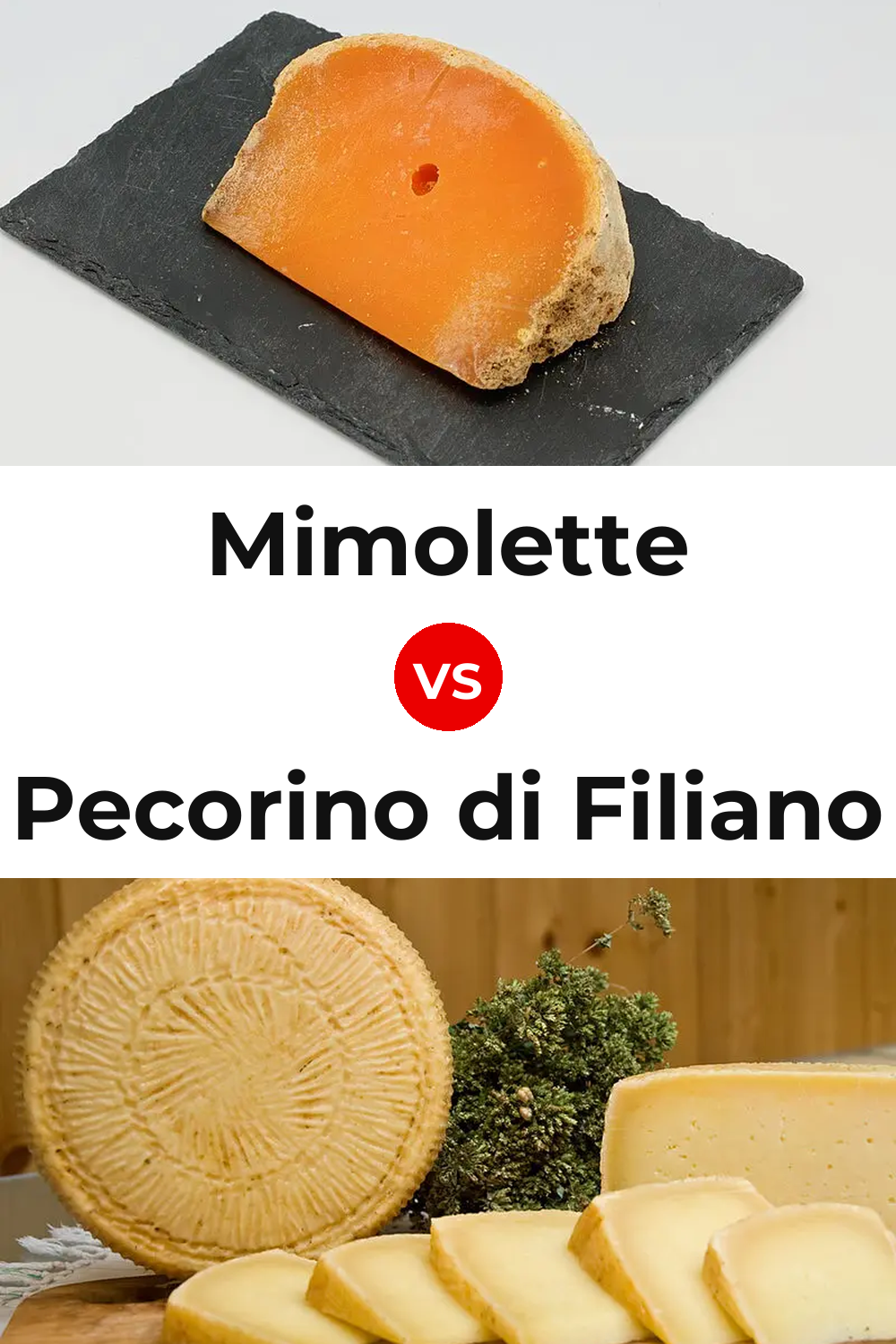 Mimolette Cheese vs Pecorino di Filiano Cheese Pinterest comparison