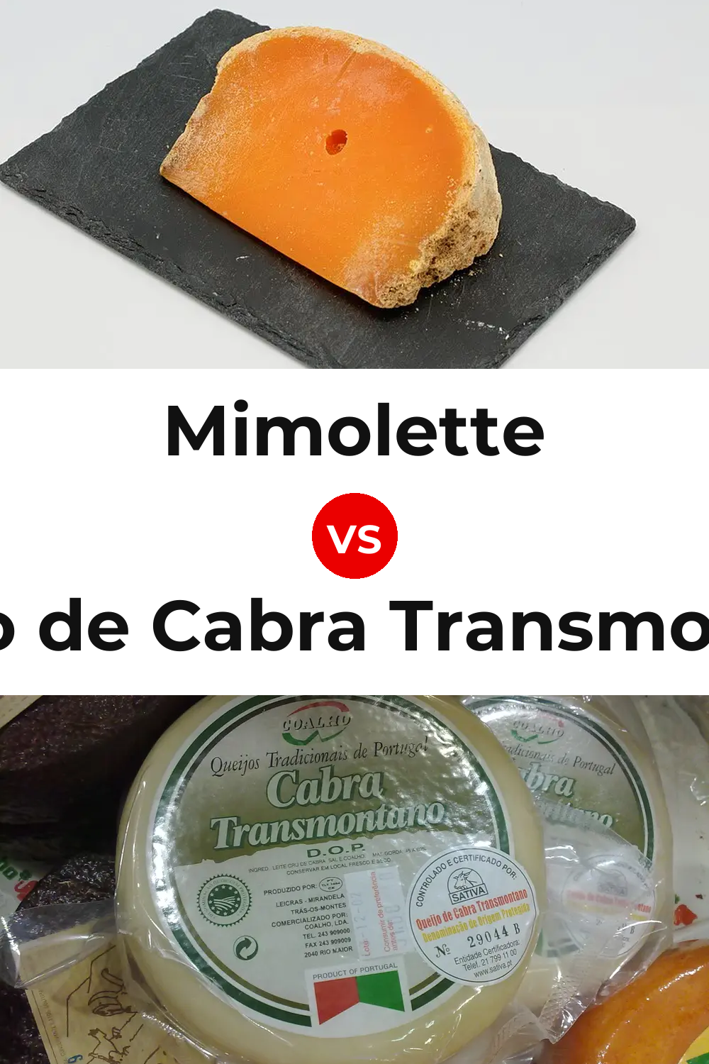 Mimolette Cheese vs Queijo de Cabra Transmontano Pinterest comparison