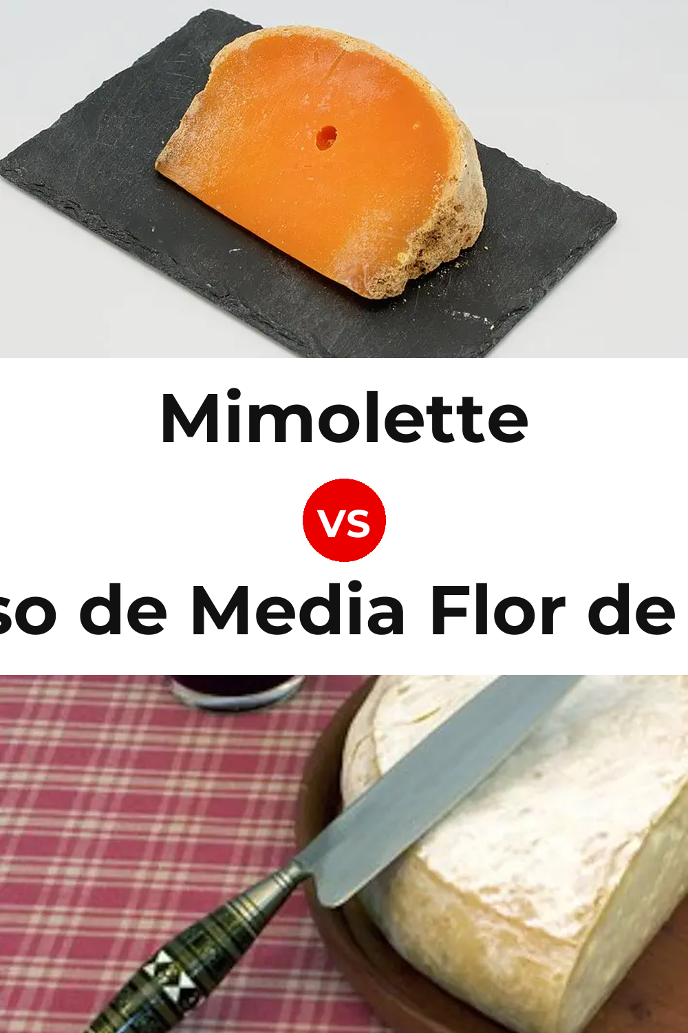 Mimolette Cheese vs Queso de Media Flor de Guía Pinterest comparison