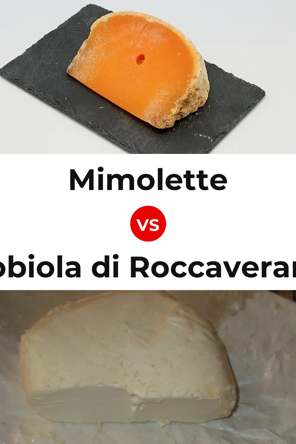 Mimolette Cheese vs Robiola di Roccaverano Cheese Pinterest comparison