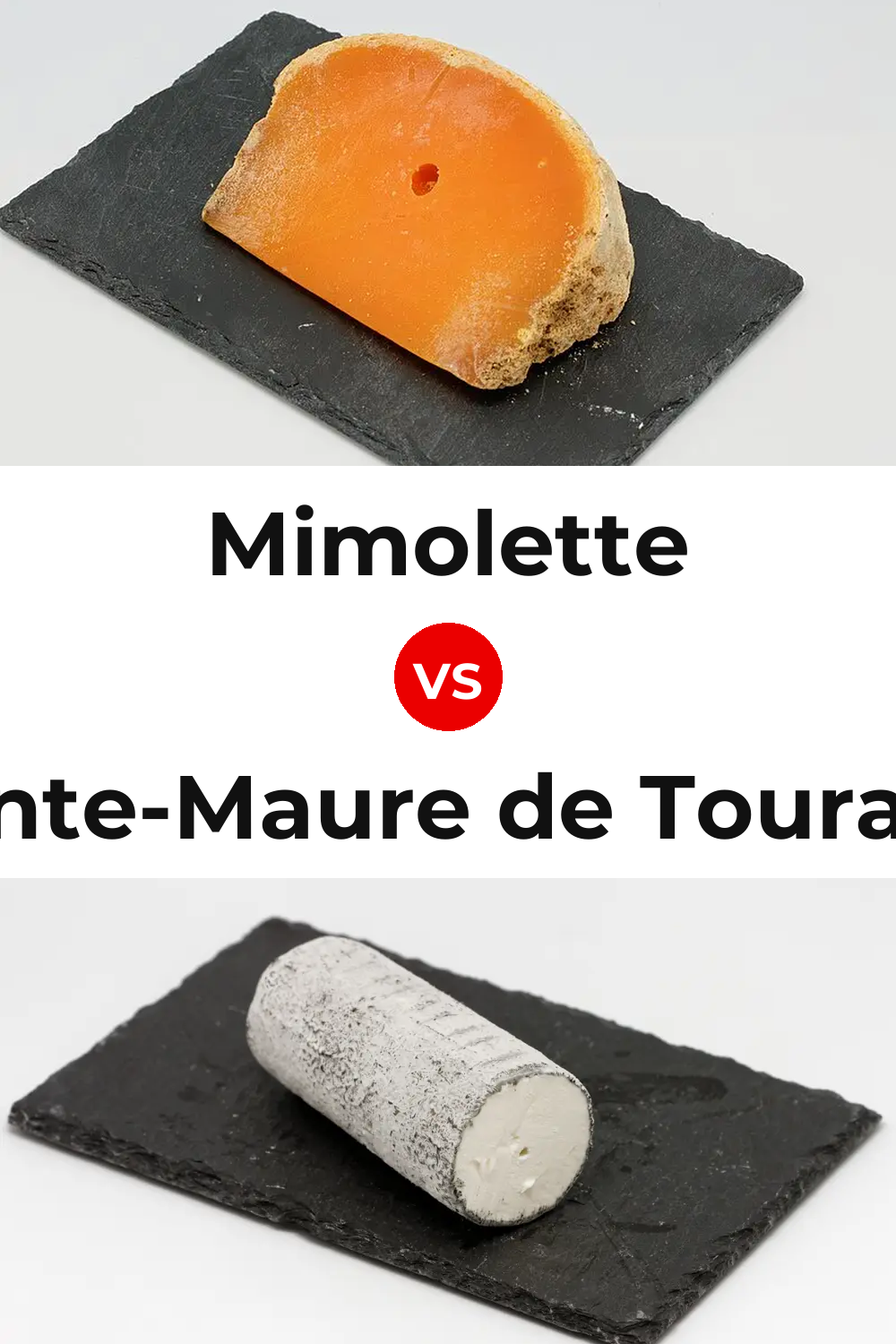 Mimolette Cheese vs Sainte-Maure de Touraine Cheese Pinterest comparison