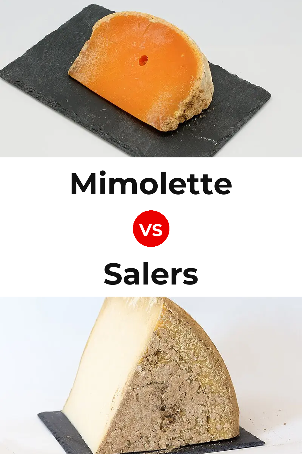 Mimolette Cheese vs Salers Cheese Pinterest comparison