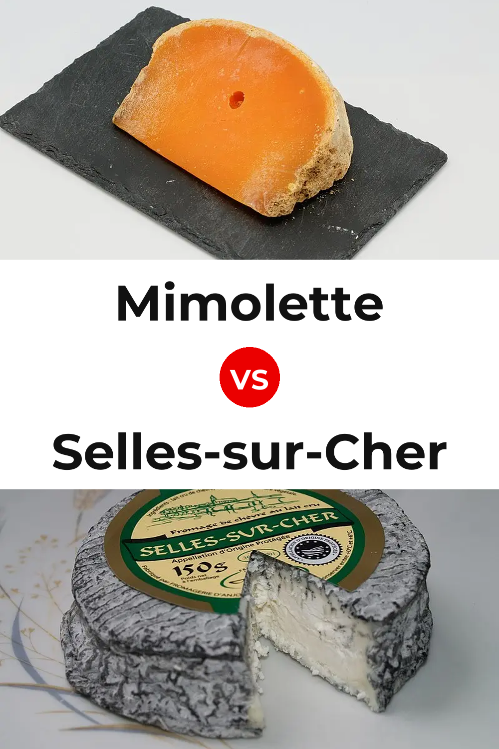 Mimolette Cheese vs Selles-sur-Cher Cheese Pinterest comparison