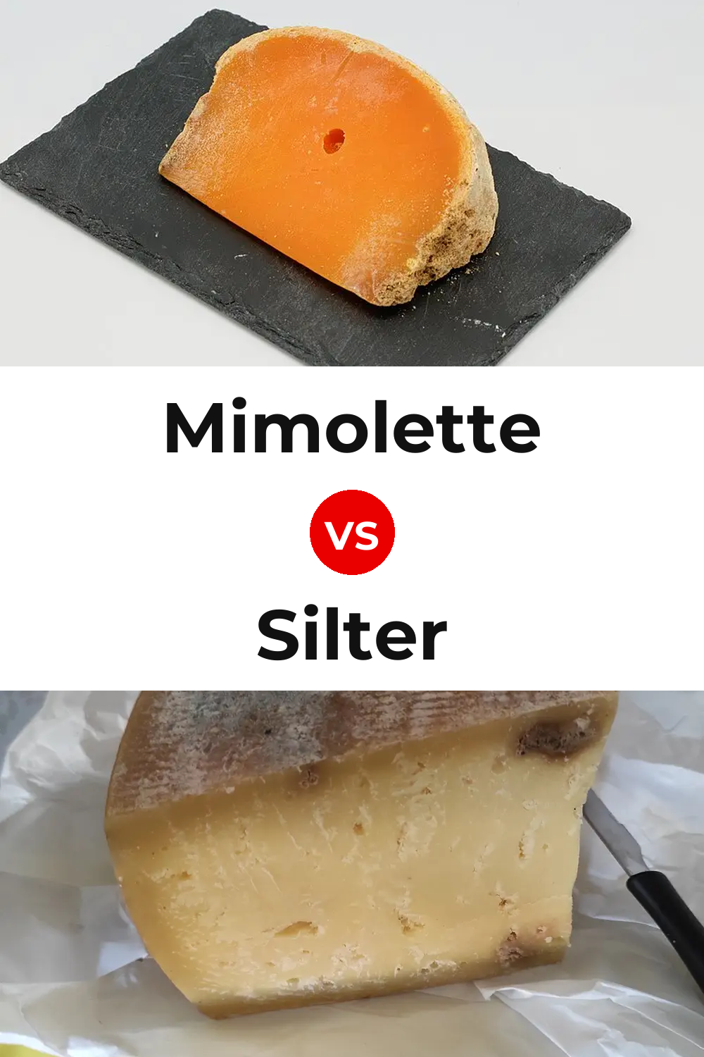 Mimolette Cheese vs Silter Cheese Pinterest comparison