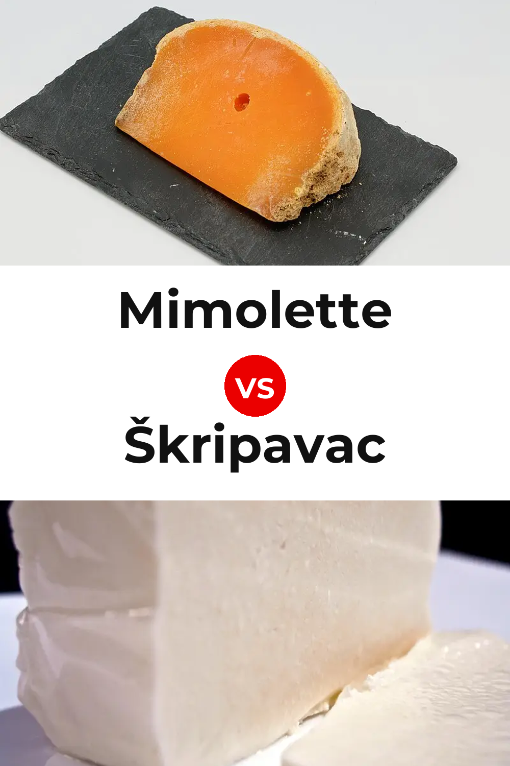 Mimolette Cheese vs Škripavac Cheese Pinterest comparison