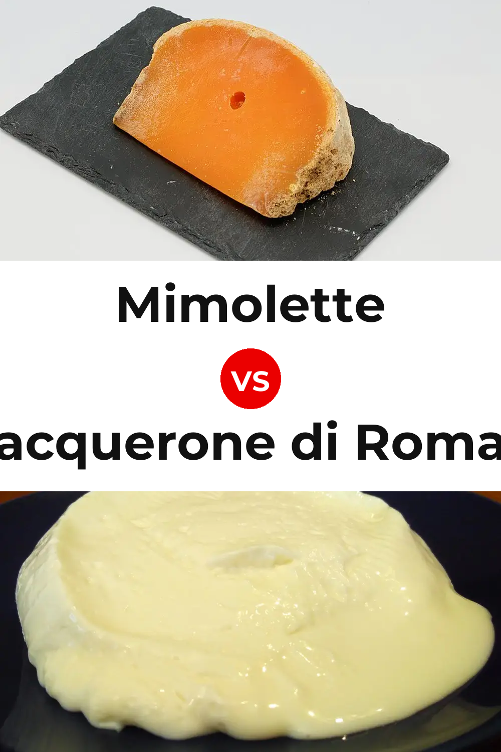 Mimolette Cheese vs Squacquerone di Romagna Cheese Pinterest comparison