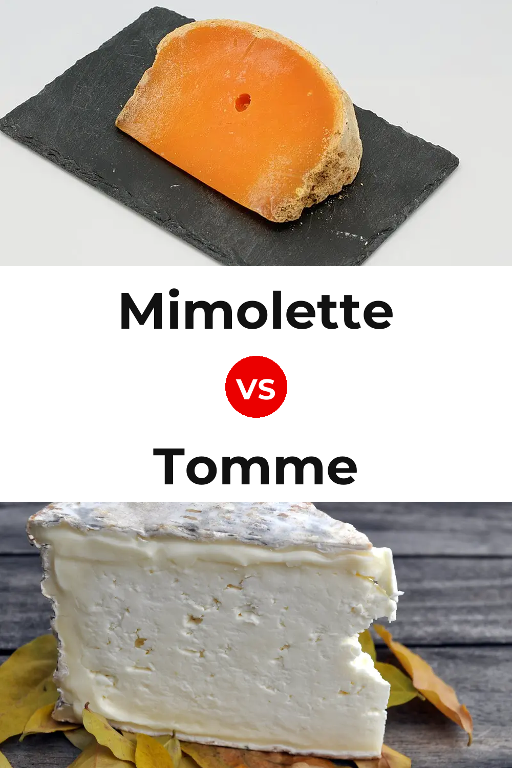 Mimolette Cheese vs Tomme Cheese Pinterest comparison