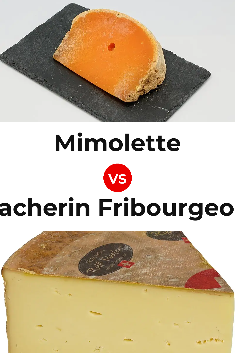 Mimolette Cheese vs Vacherin Fribourgeois Cheese Pinterest comparison