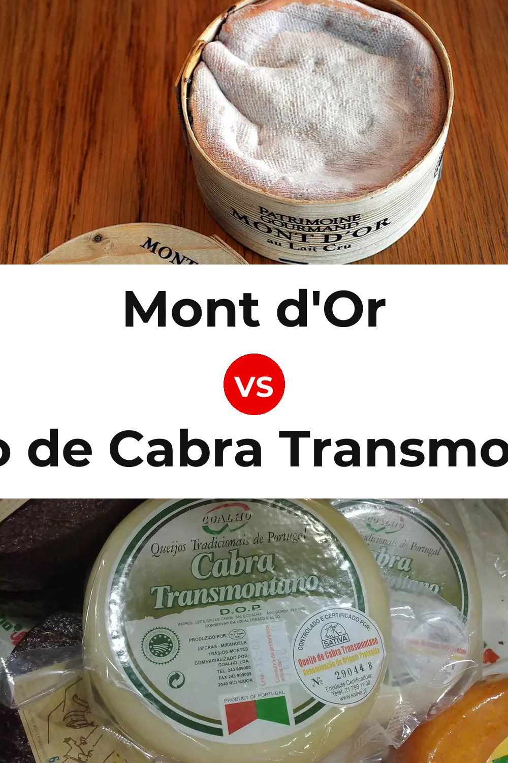 Mont d'Or Cheese vs Queijo de Cabra Transmontano Pinterest comparison