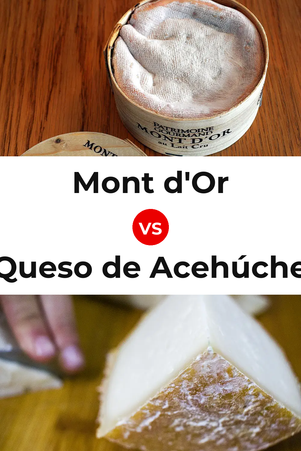 Mont d'Or Cheese vs Queso de Acehúche Pinterest comparison