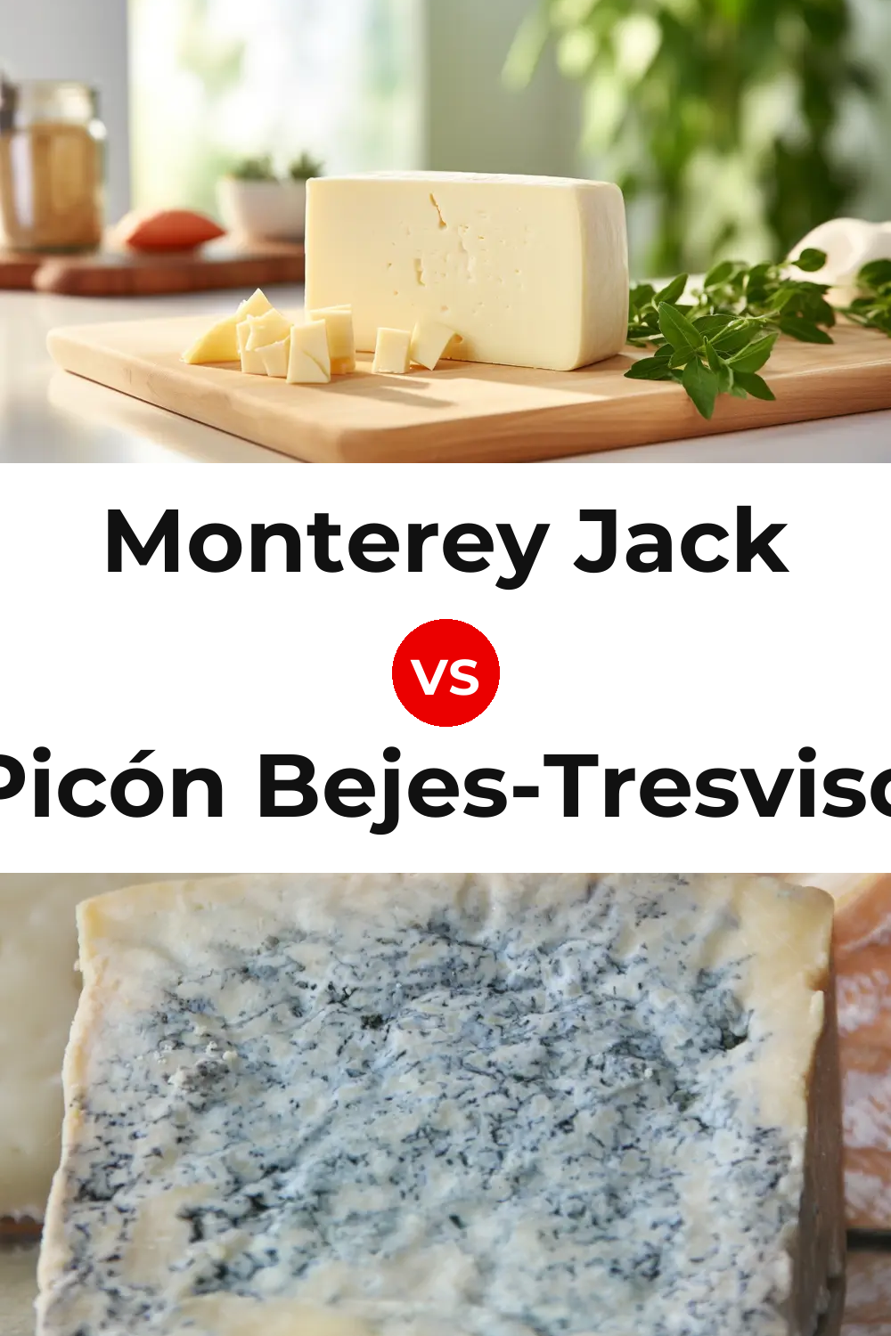 Monterey Jack Cheese vs Picón Bejes-Tresviso Cheese Pinterest comparison