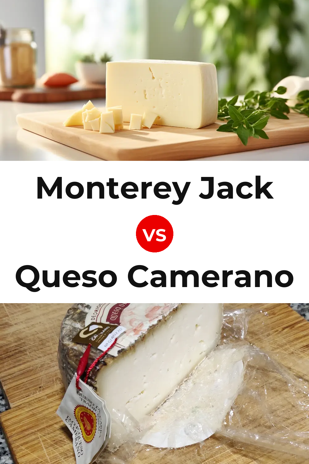 Monterey Jack Cheese vs Queso Camerano Pinterest comparison