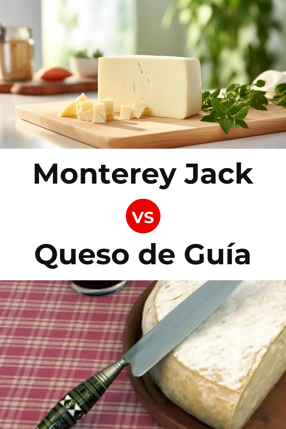 Monterey Jack Cheese vs Queso de Guía Pinterest comparison