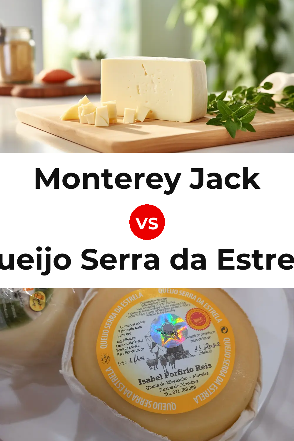 Monterey Jack Cheese vs Queijo Serra da Estrela Pinterest comparison
