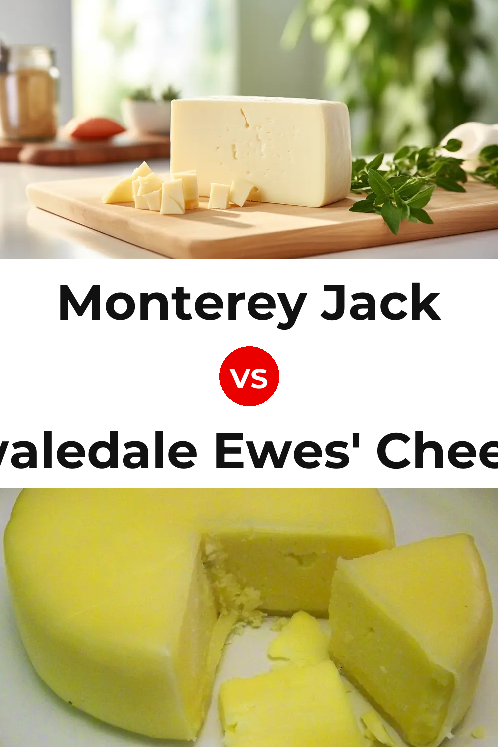 Monterey Jack Cheese vs Swaledale Ewes' Cheese Pinterest comparison