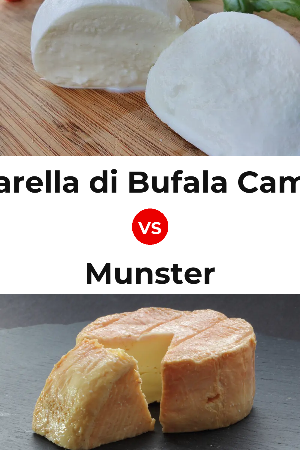 Mozzarella di Bufala Campana Cheese vs Munster Cheese Pinterest comparison