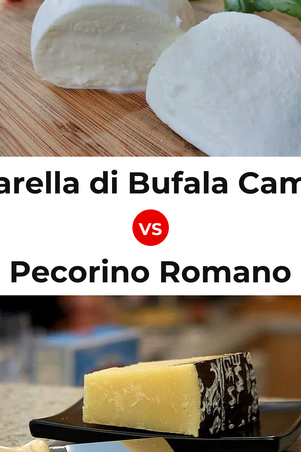 Mozzarella di Bufala Campana Cheese vs Pecorino Romano Cheese Pinterest comparison