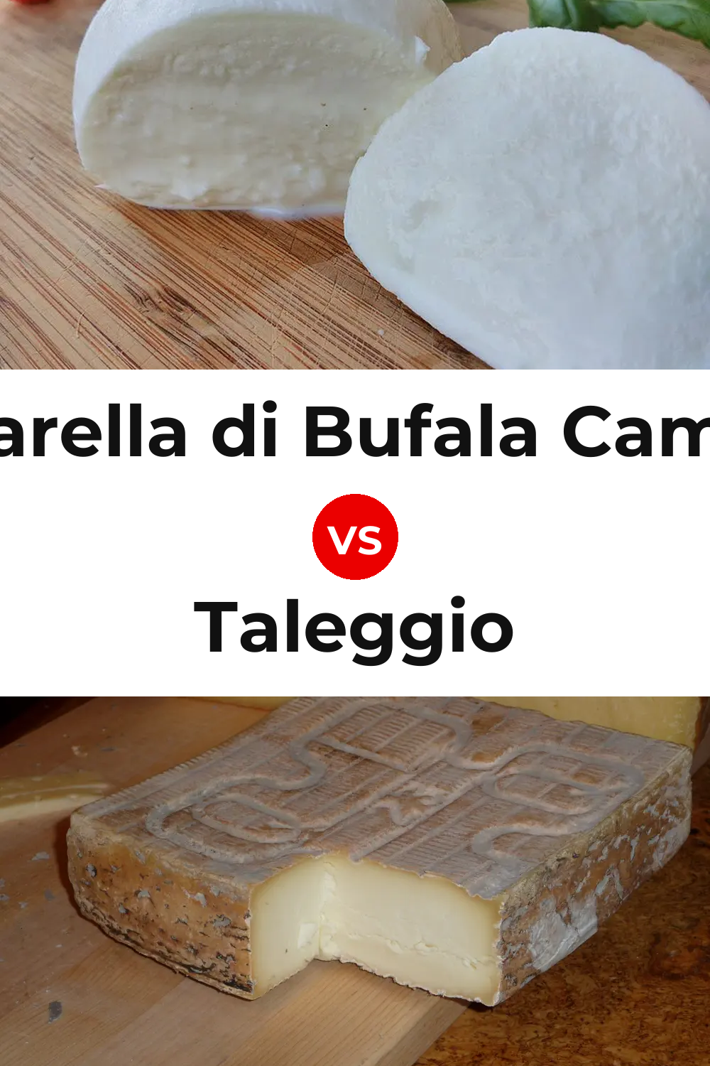 Mozzarella di Bufala Campana Cheese vs Taleggio Cheese Pinterest comparison