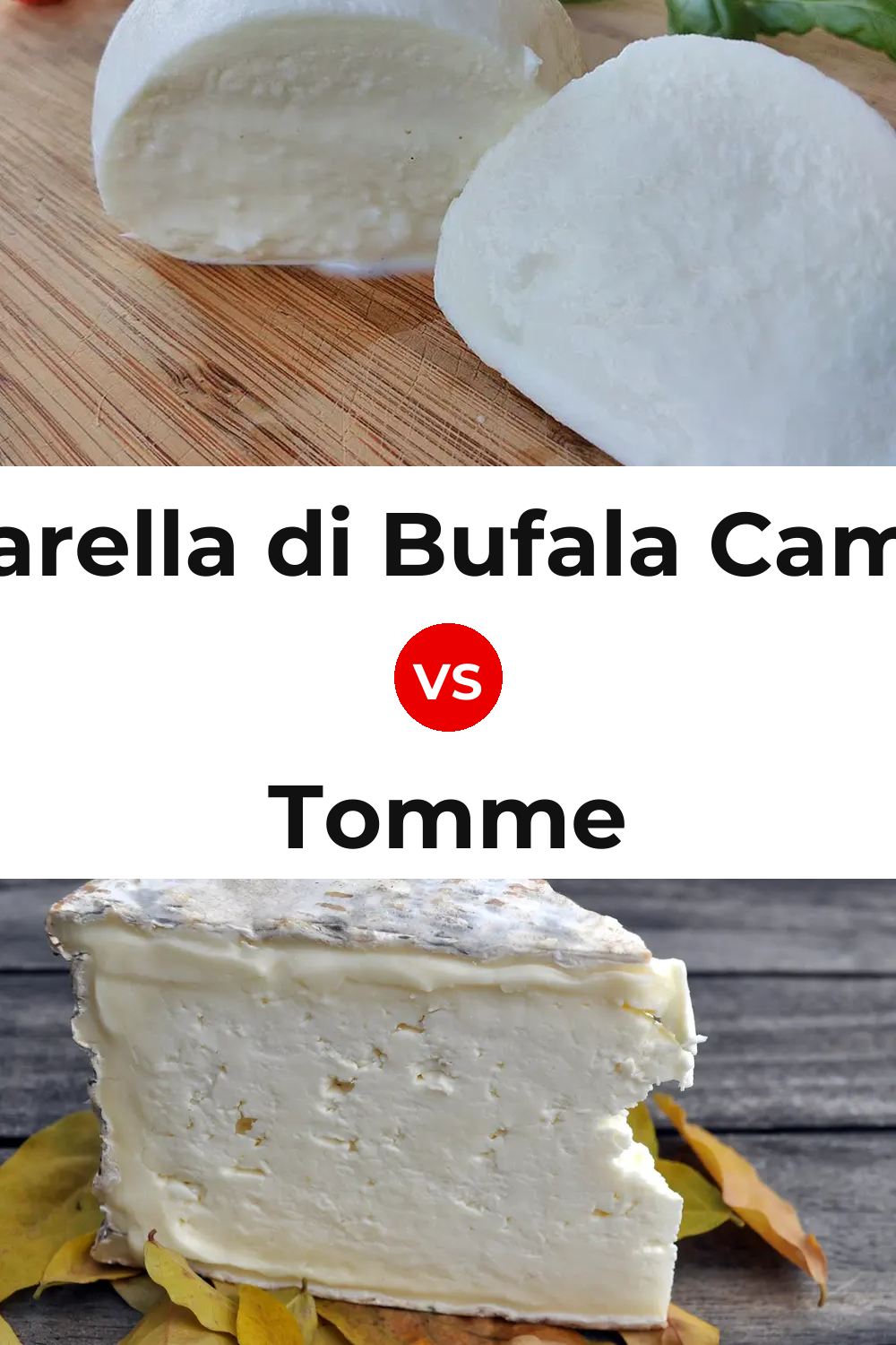 Mozzarella di Bufala Campana Cheese vs Tomme Cheese Pinterest comparison