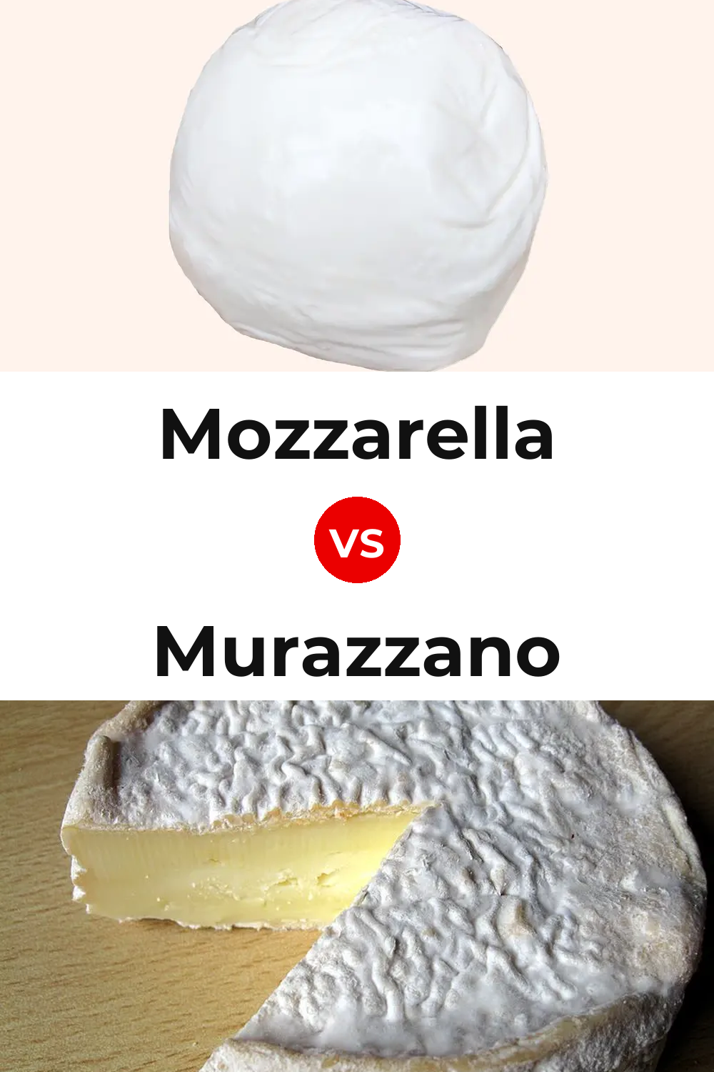 Mozzarella Cheese vs Murazzano Cheese Pinterest comparison