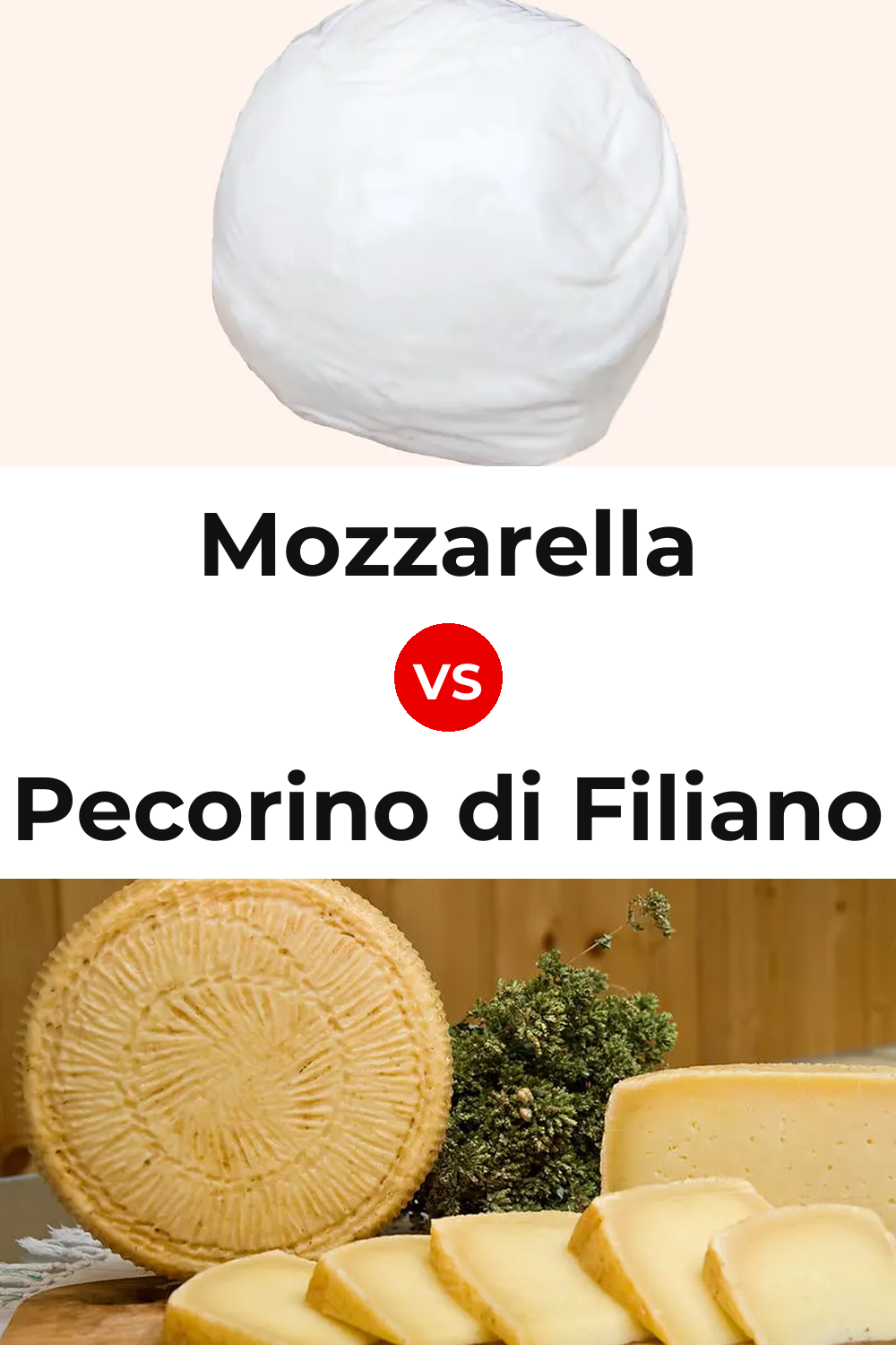 Mozzarella Cheese vs Pecorino di Filiano Cheese Pinterest comparison
