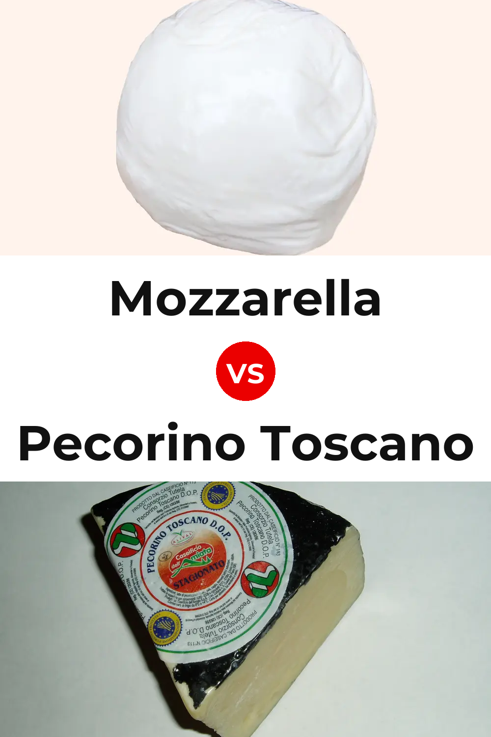 Mozzarella Cheese vs Pecorino Toscano Cheese Pinterest comparison