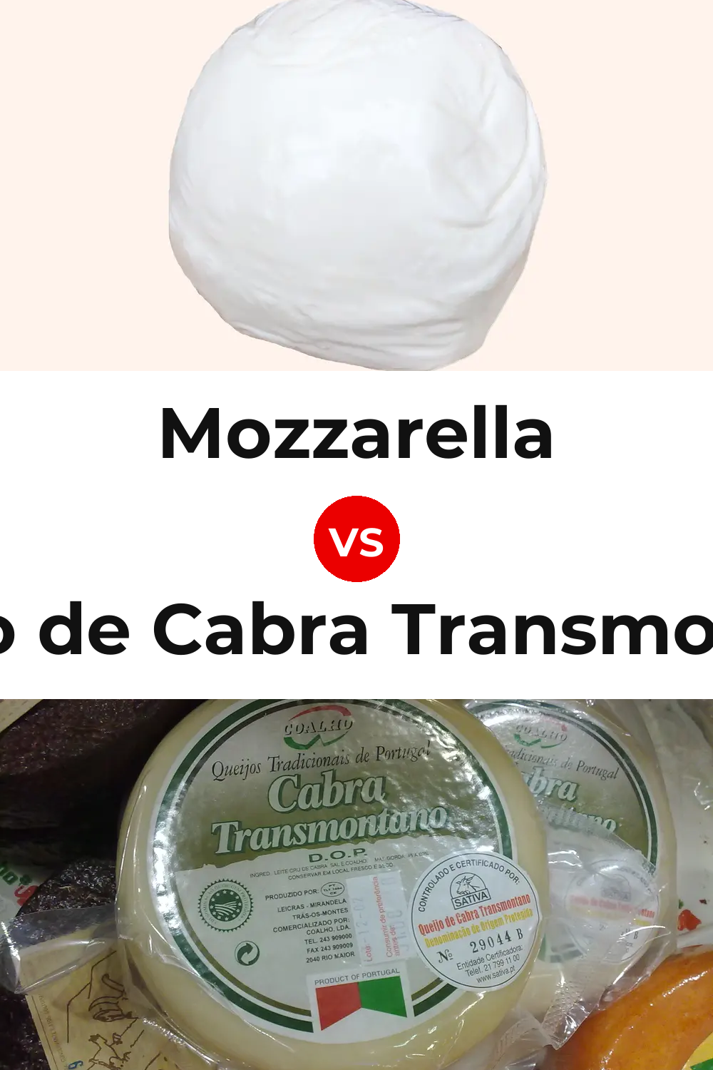 Mozzarella Cheese vs Queijo de Cabra Transmontano Pinterest comparison