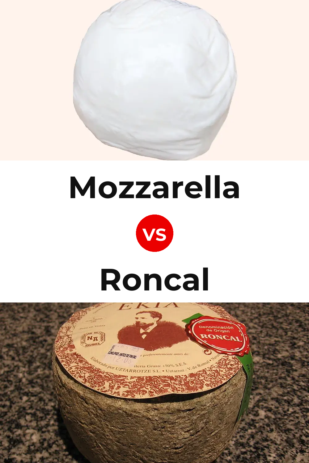 Mozzarella Cheese vs Roncal Cheese Pinterest comparison