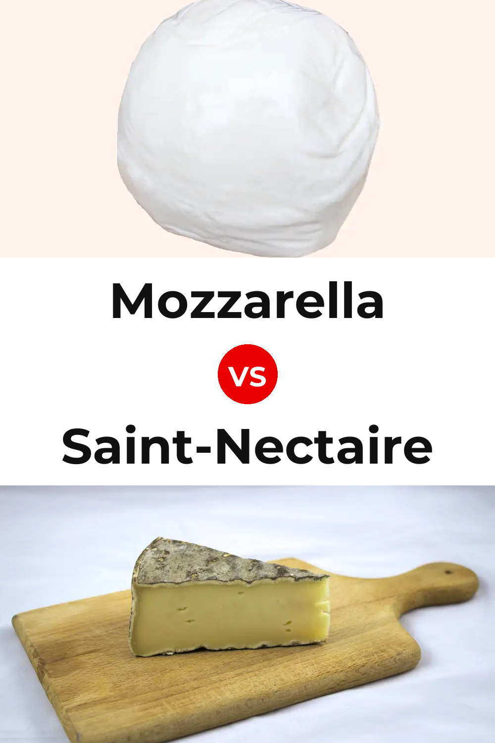 Mozzarella Cheese vs Saint-Nectaire Cheese Pinterest comparison