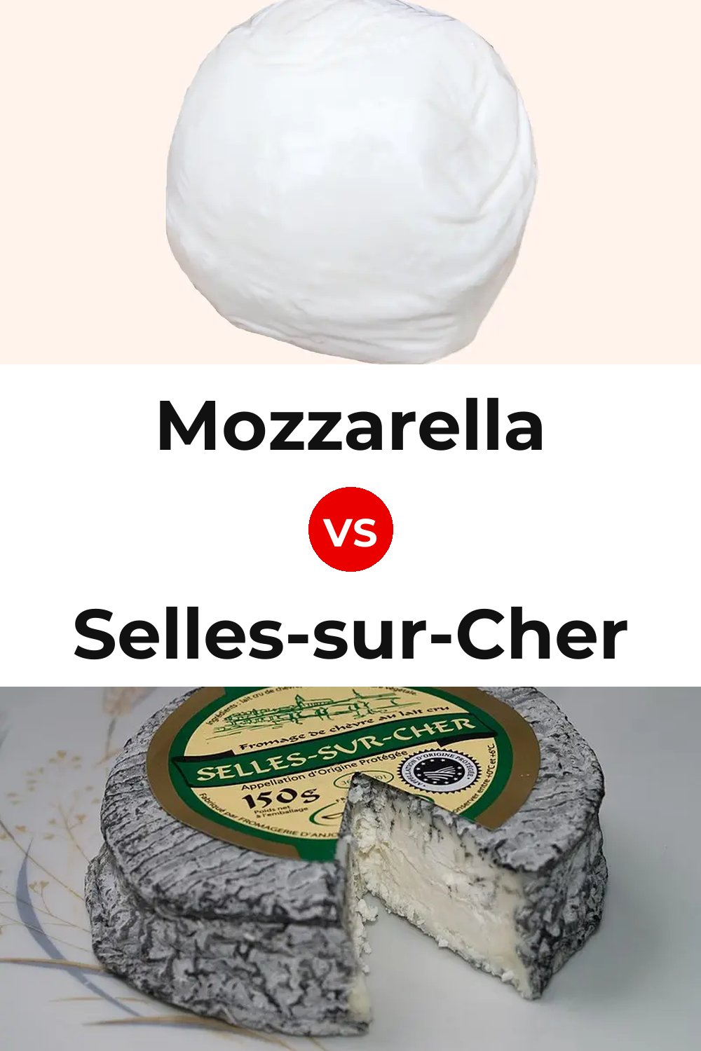 Mozzarella Cheese vs Selles-sur-Cher Cheese Pinterest comparison
