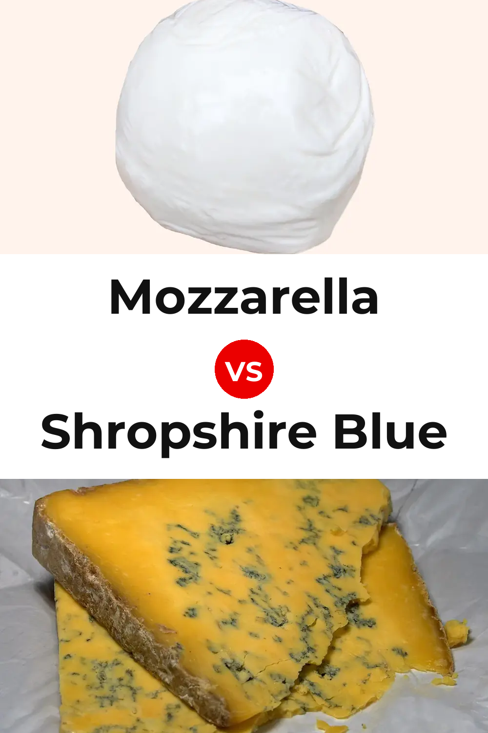 Mozzarella Cheese vs Shropshire Blue Cheese Pinterest comparison