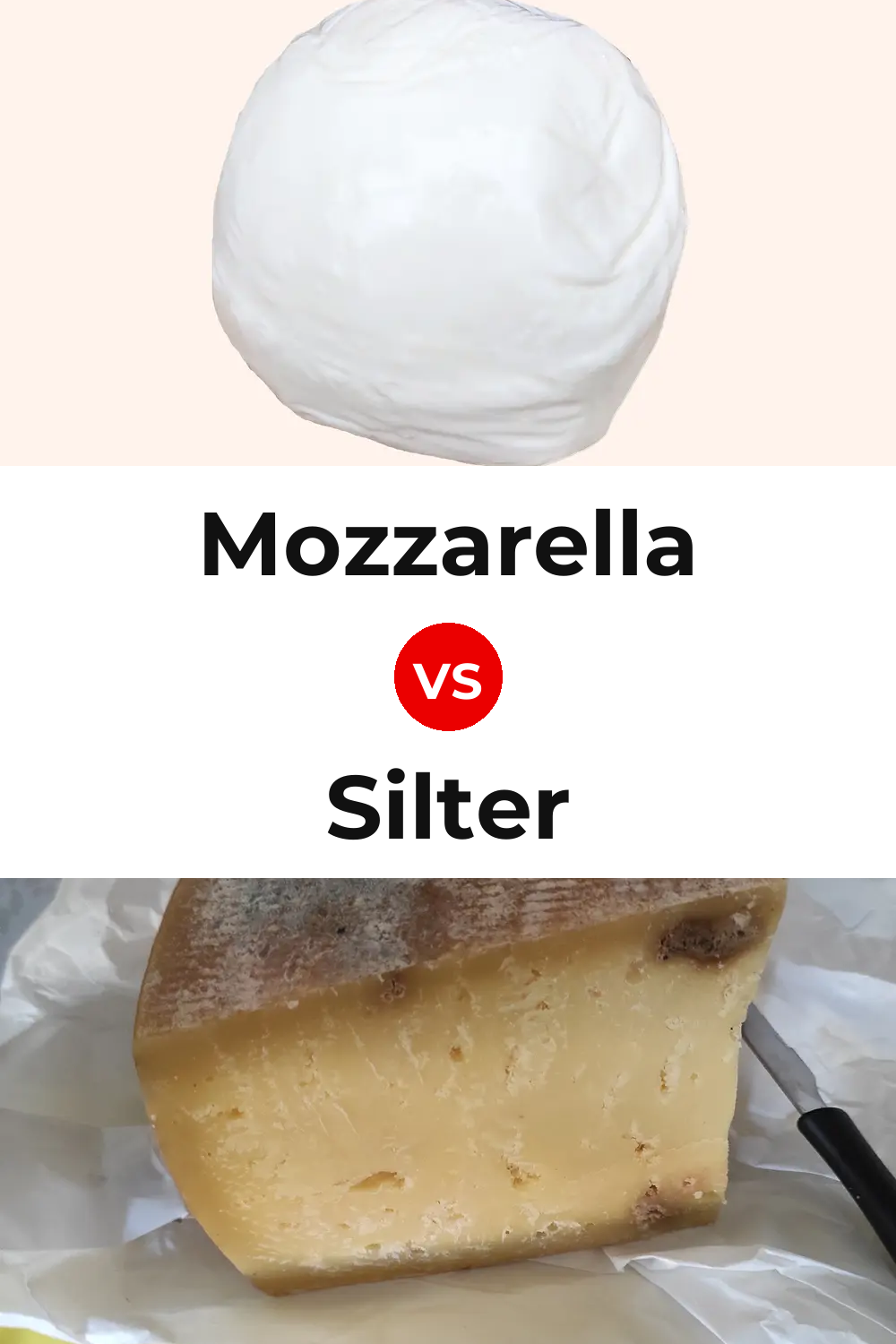 Mozzarella Cheese vs Silter Cheese Pinterest comparison