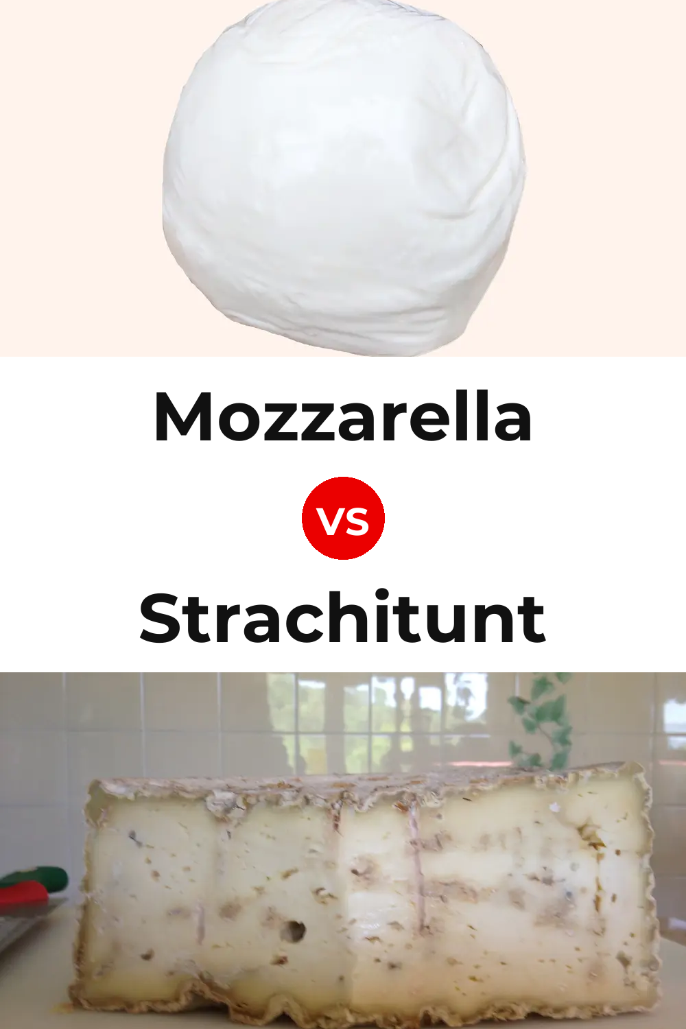 Mozzarella Cheese vs Strachitunt Cheese Pinterest comparison