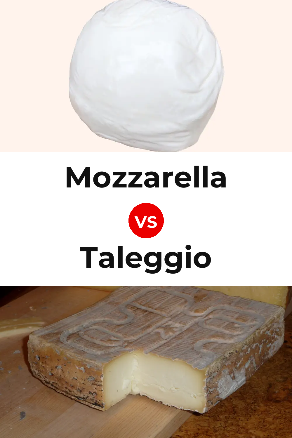 Mozzarella Cheese vs Taleggio Cheese Pinterest comparison