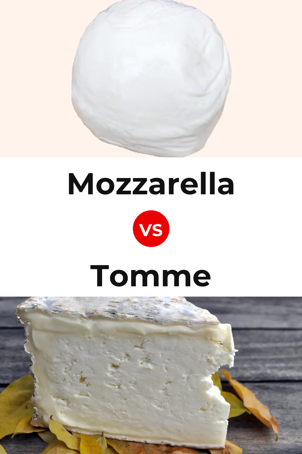 Mozzarella Cheese vs Tomme Cheese Pinterest comparison