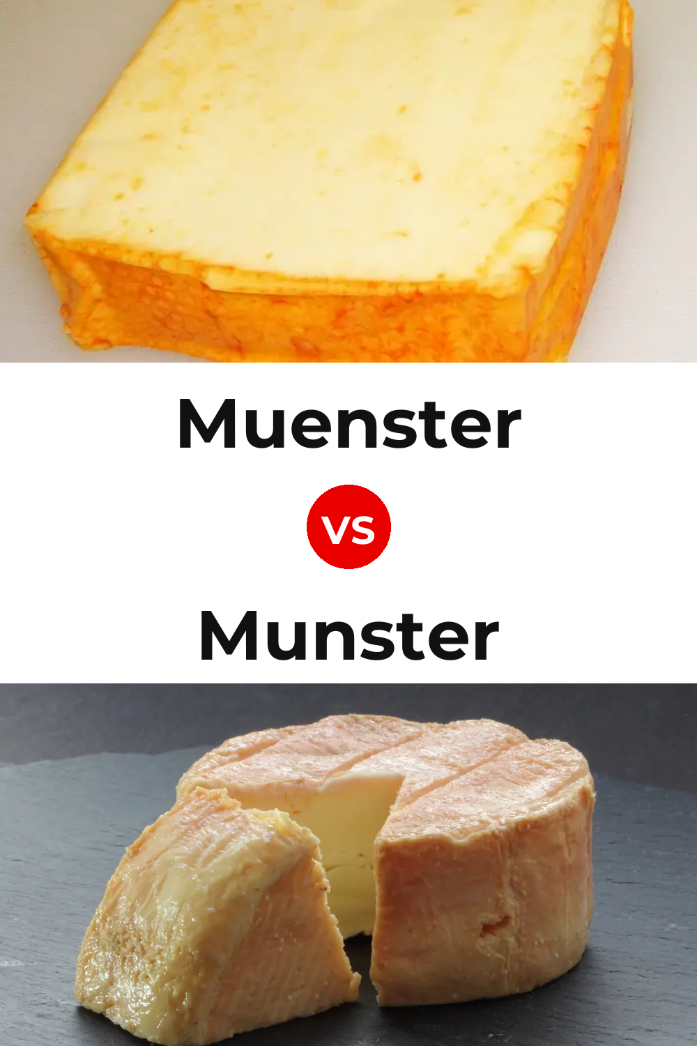 Muenster Cheese vs Munster Cheese Pinterest comparison